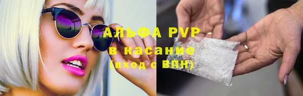 крисы Аркадак