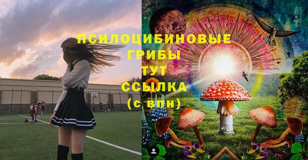 хмурый Вязники