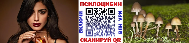 Галлюциногенные грибы мицелий  Солнечногорск 